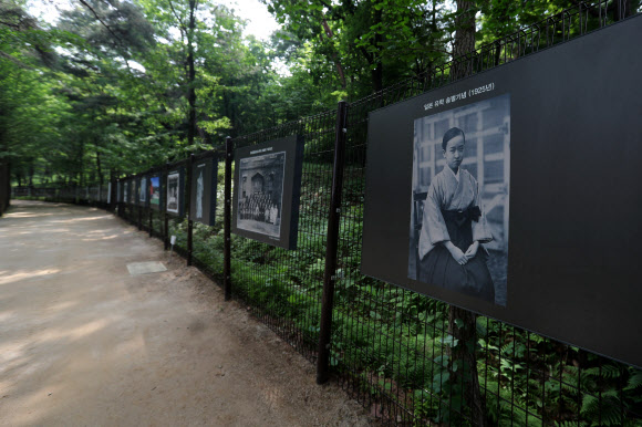 문화재청은 경기도 남양주시 금곡동 ’홍릉과 유릉’(사적 제207호)에 있는 덕혜옹주묘와 의친왕묘를 16일부터 일반에 공개했다. 덕혜옹주(1912∼1989)는 고종과 복녕당 양씨 사이에서 태어난 대한제국의 마지막 황녀이다. 의친왕(1877∼1955)은 고종의 다섯째 아들이다. 문화재청은 대한제국 선포 120주년을 맞아 이번에 일반인에게 전면 개방하기로 했다. 사진은 덕혜옹주묘와 의친왕묘 입구에 전시된 덕혜옹주의 모습.  연합뉴스