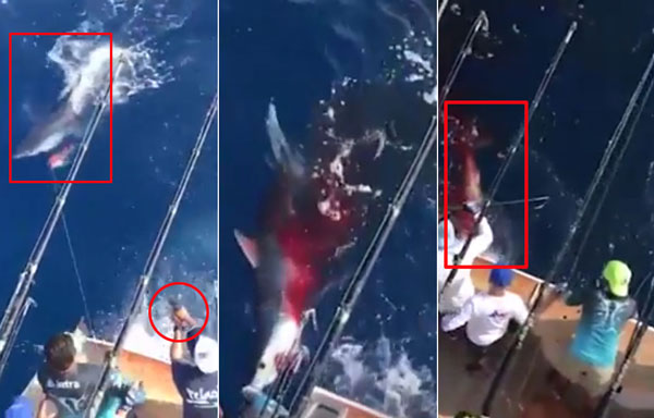 Liveleak.com / global news youtube