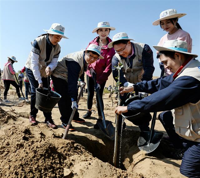 대한항공 직원들이 중국 네이멍구 쿠부치사막에 나무를 심고 있다. 대한항공 제공