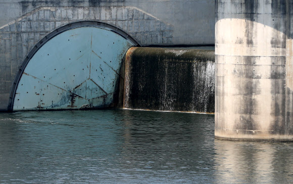 상시 열리는 강정고령보 수문