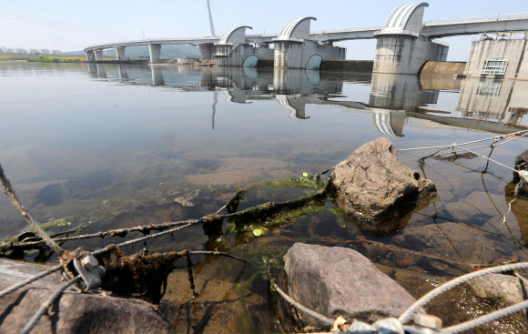 상시 개방되는 강정고령보