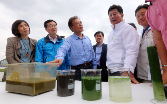 2016년 낙동강 녹조 현장 조사하는 문재인