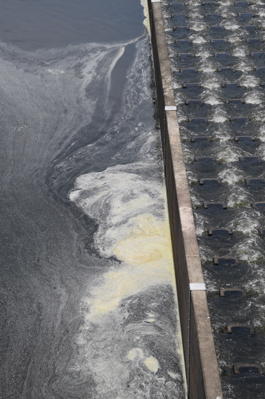 문재인 대통령이 4대강 정책감사 및 보 상시 개방을 지시한 22일 충남 공주시 공주보의 모습. 도준석 기자 pado@seoul.co.kr