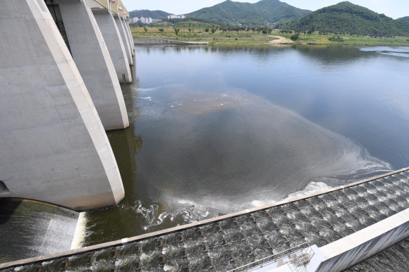 오염된 공주보 일대