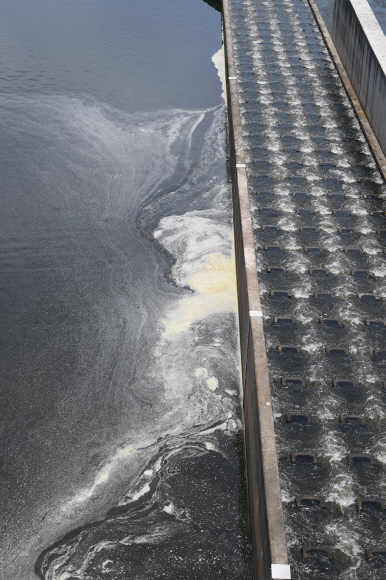 수질악화된 공주보