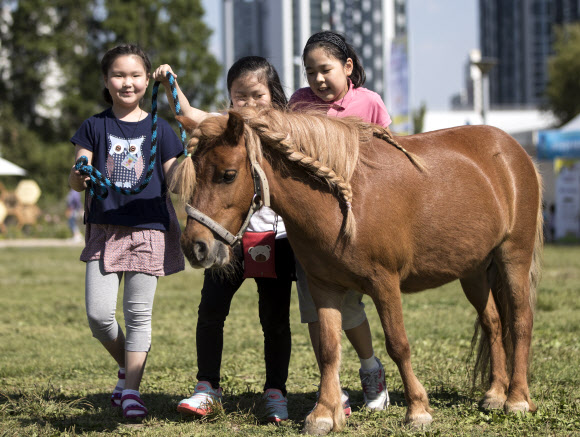24일 오후 서울 성동구 서울숲에서 열린 강원농촌체험학습 북적북적 축제에서 어린이들이 말과 함께 즐거운 시간을 보내고 있다.  연합뉴스