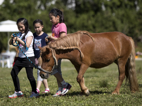 24일 오후 서울 성동구 서울숲에서 열린 강원농촌체험학습 북적북적 축제에서 어린이들이 말과 함께 즐거운 시간을 보내고 있다.  연합뉴스