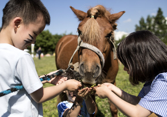 24일 오후 서울 성동구 서울숲에서 열린 강원농촌체험학습 북적북적 축제에서 어린이들이 말과 함께 즐거운 시간을 보내고 있다.  연합뉴스