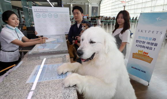 탑승 수속하러 왔습니다. ’멍멍!’