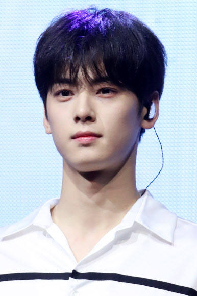 ’얼굴천재’ 차은우