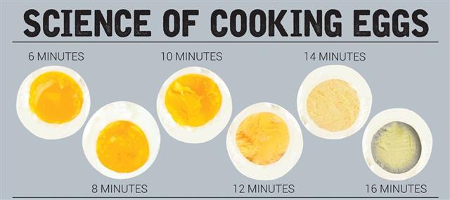 6분부터 2분 단위로 삶아 확인한 달걀 노른자 상태. 수분을 남기는 물리적·화학적 과정에 따라 맛과 식감이 달라진다.