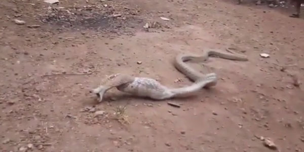 Prudent Media Goa youtube