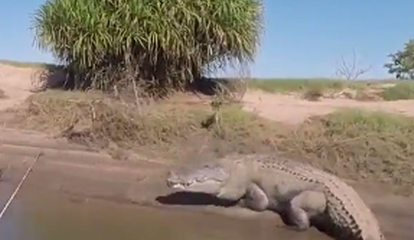 Northbound Charters Facebook