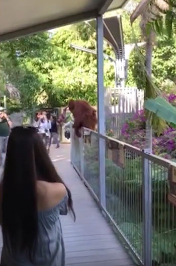 Storyful Rights Management youtube