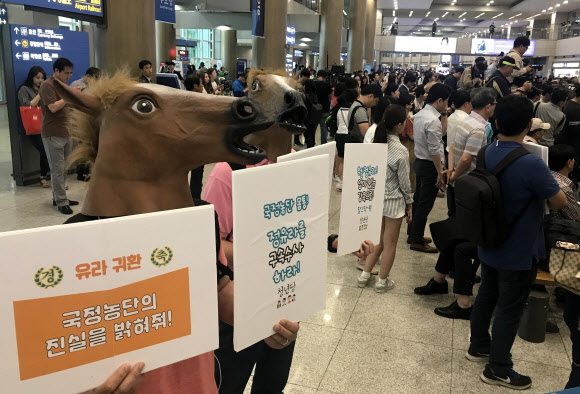 말 가면 쓰고 정유라 구속 수사 촉구