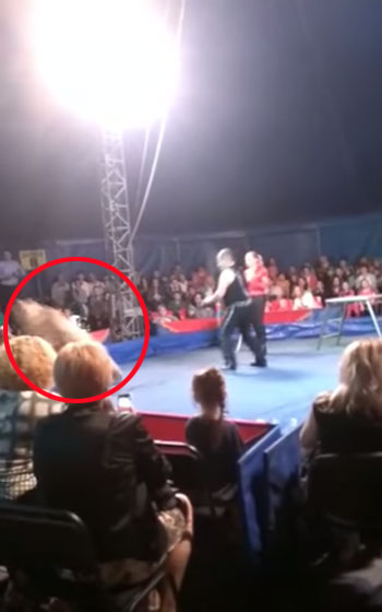 Моя Київщина: Офіційний канал youtube