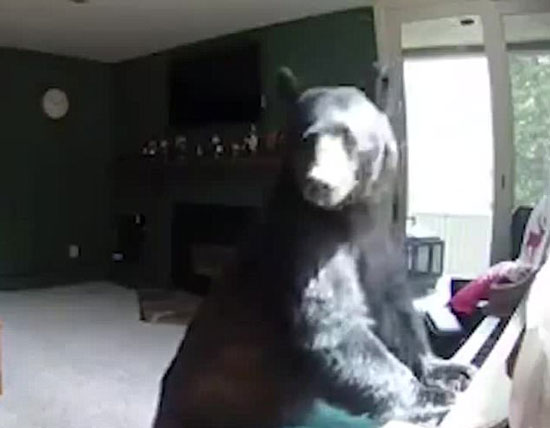 Twietter / Hot Daily  youtube