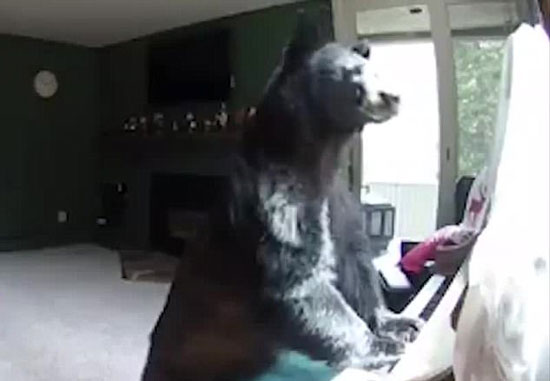 Twietter / Hot Daily  youtube