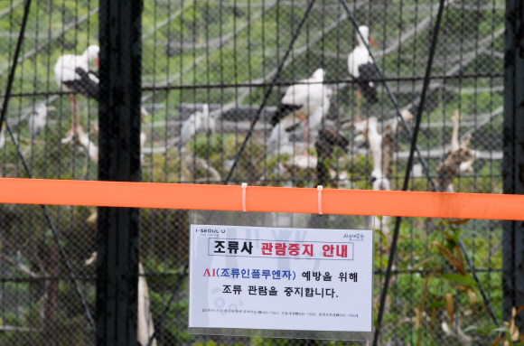 조류인플루엔자가 확산되고 있는 가운데 6일 오후 과천 서울대공원조류사에 출입금지 안내문이 걸려 있다. 도준석 기자 pado@seoul.co.kr