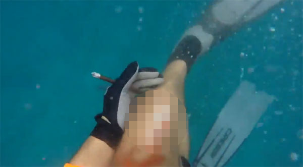 LiveLeak 2017 youtube