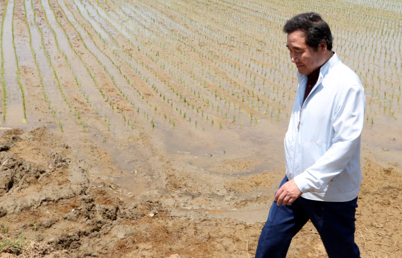 가뭄 속 모내기 현장 찾은 이낙연 총리