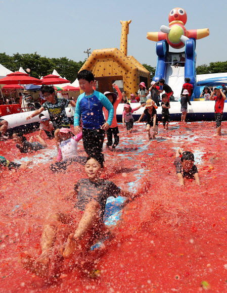 토마토 풀장에서 슬라이딩 하는 어린이들