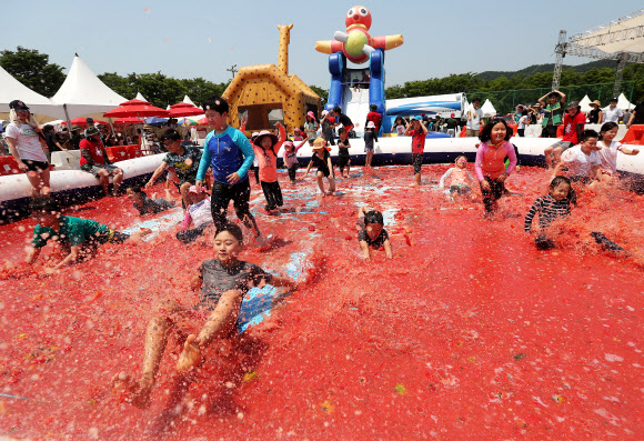 토마토 풀장에서 슬라이딩 하는 어린이들