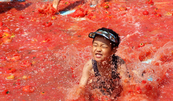 여기가 토마토 천국!