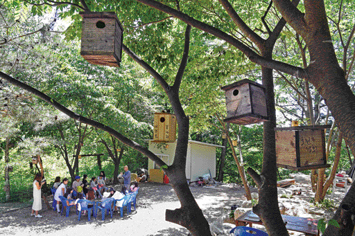 초여름 햇살이 따가운 6월 휴일에 도연암 산새 학교를 방문한 가족들이 시원한 나무 그늘 아래 평상에 앉아 도연 스님이 들려주는 산새 얘기를 듣고 있다.