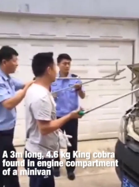 People’s Daily, China youtube