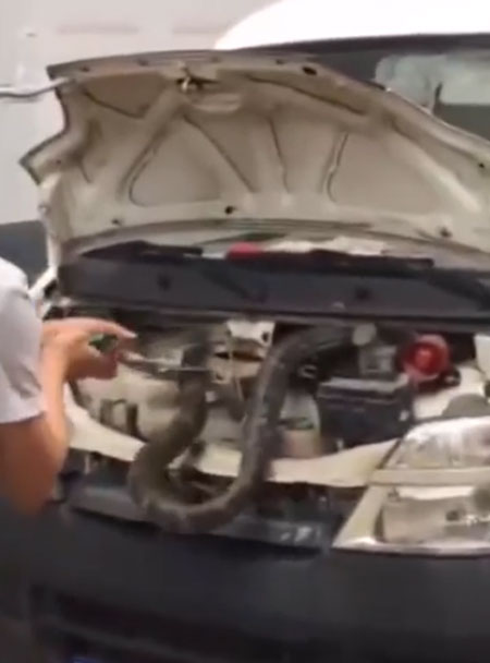 People’s Daily, China youtube