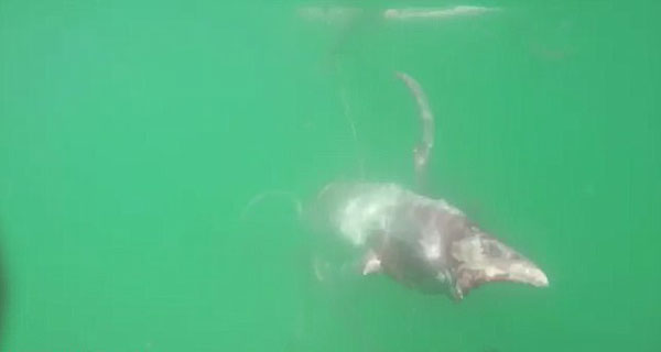 ejamestaylor Instagram