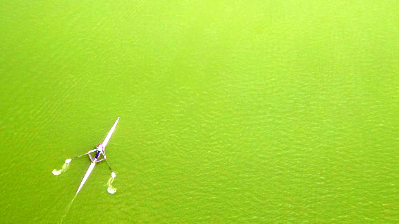 녹색으로 변한 저수지