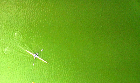 녹색으로 변한 저수지