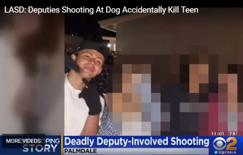 경찰이 개 향해 쏜 총에 맞고 숨진 미국 17세 소년 
