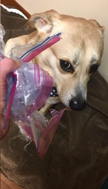 AKIQUANG youtube, Inspiredblue