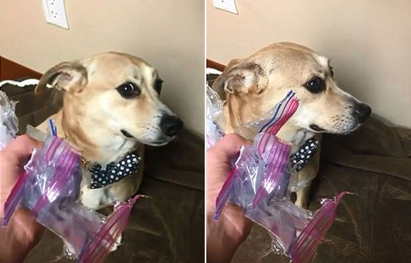 AKIQUANG youtube, Inspiredblue