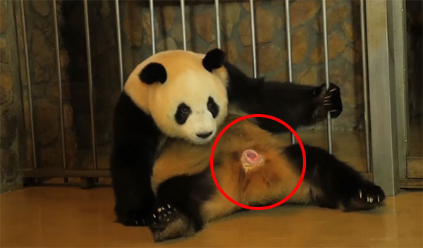 News From World youtube