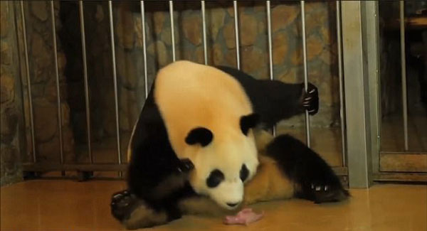 News From World youtube