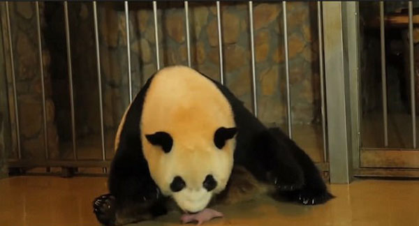 News From World youtube