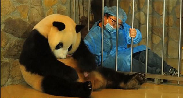 News From World youtube