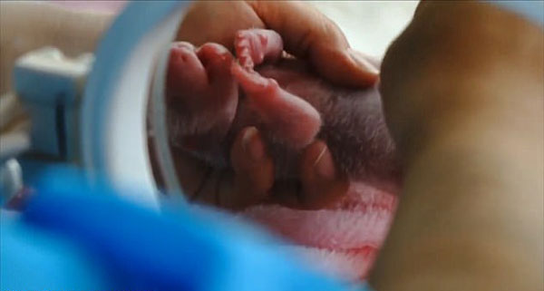 News From World youtube