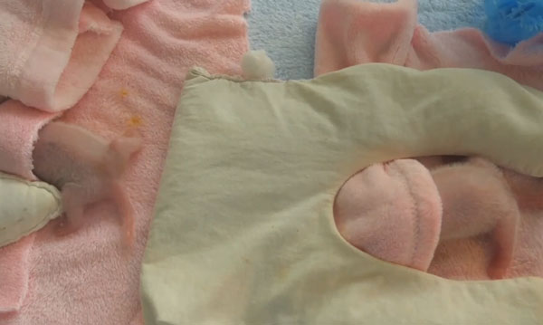 News From World youtube