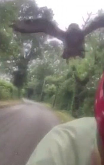 BBC News, NH-65 PRODUCTIONS youtube