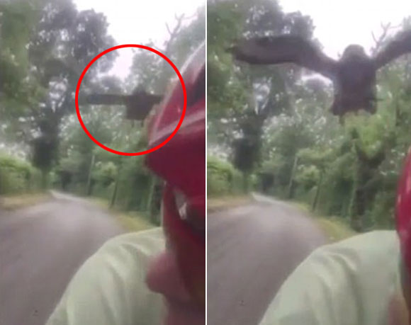 BBC News, NH-65 PRODUCTIONS youtube