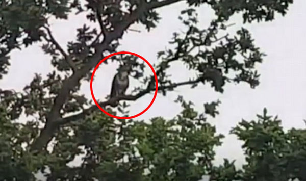 BBC News, NH-65 PRODUCTIONS youtube