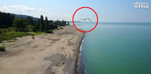 newsflare / ebaumsworld.com