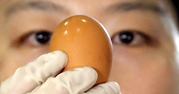 세관 도착한 태국산 계란