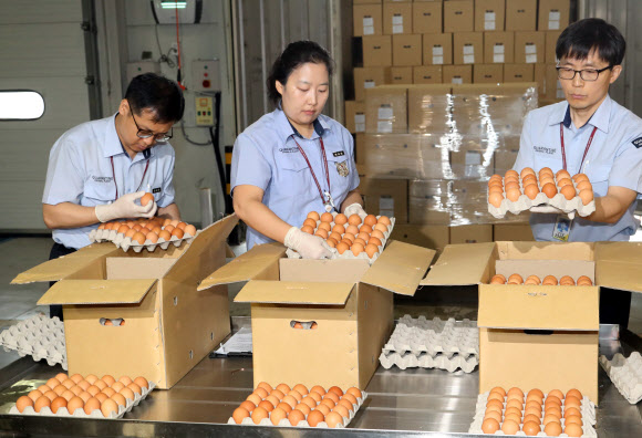 ’태국산 반값 계란’ 도착