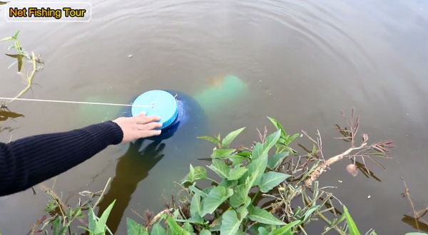 Net Fishing Tour youtube
